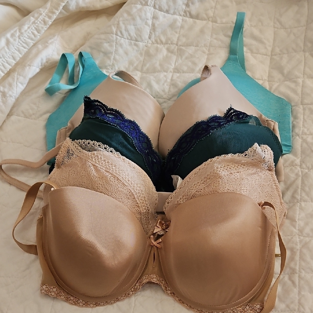 Luxe Lace Accent Bras - Beige, Teal, and Green C1